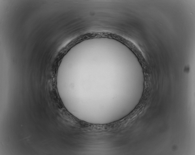 X0000102220871200807250744