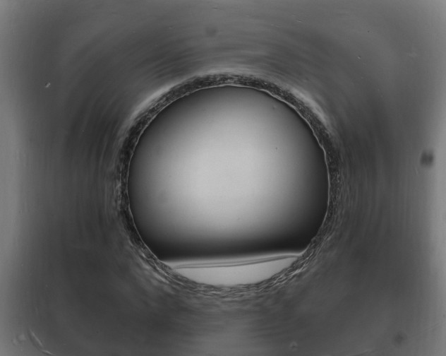 X0000102220872200807250744