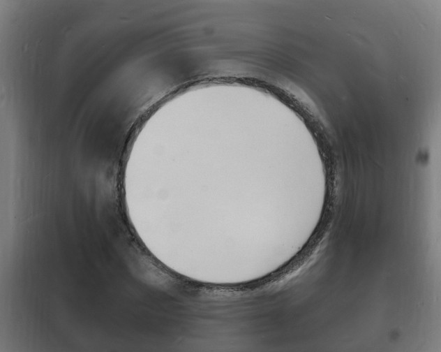 X0000102220873200807250744
