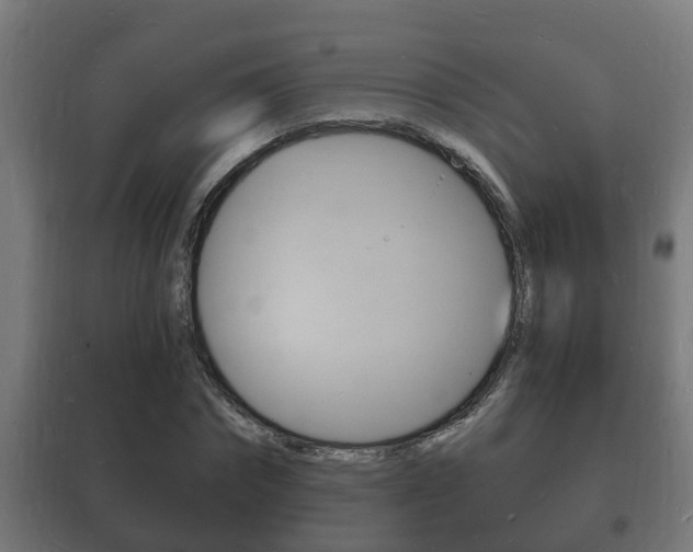 X0000102220874200807250744