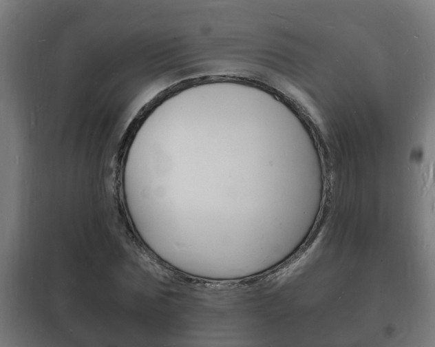 X0000102220875200807250744