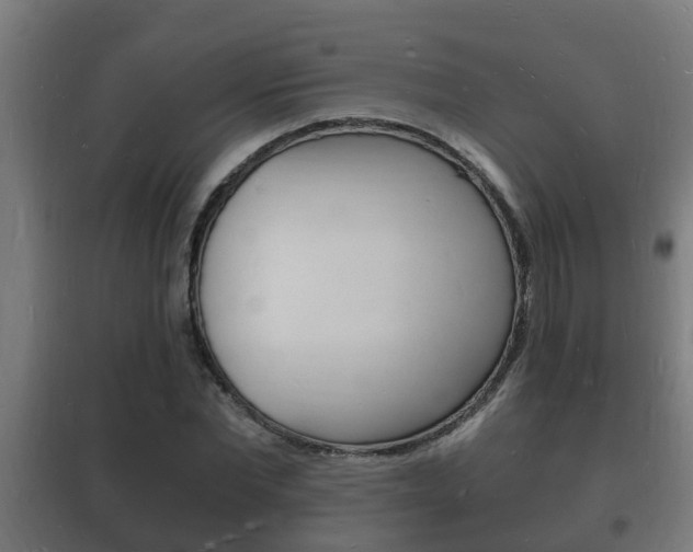 X0000102220877200807250744