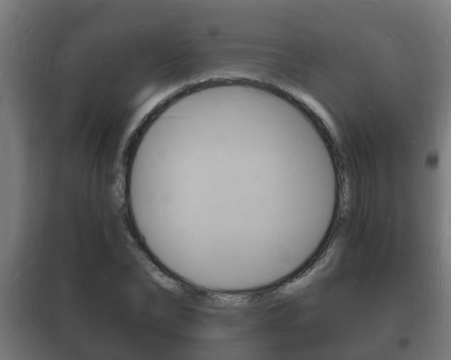 X0000102220878200807250744