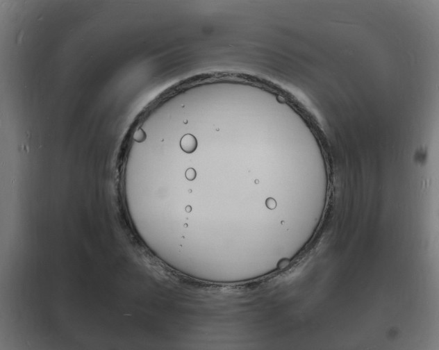 X0000102220879200807250744