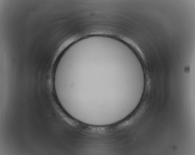 X0000102220882200807250744