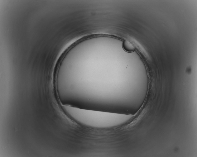 X0000102220884200807250744