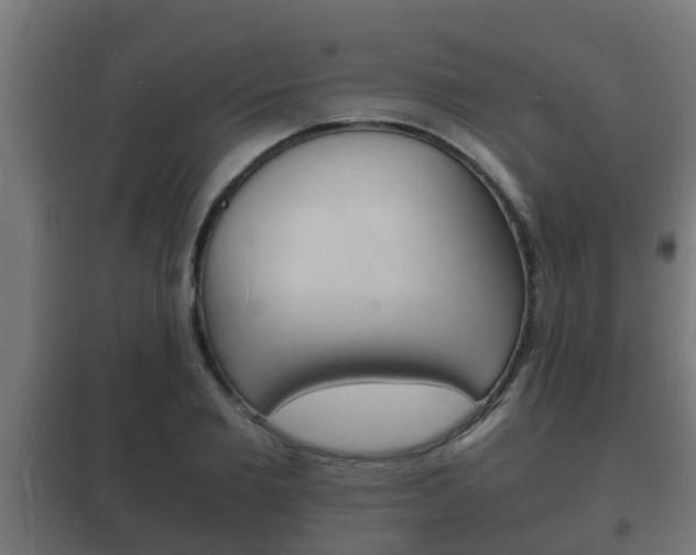 X0000102220885200807250744