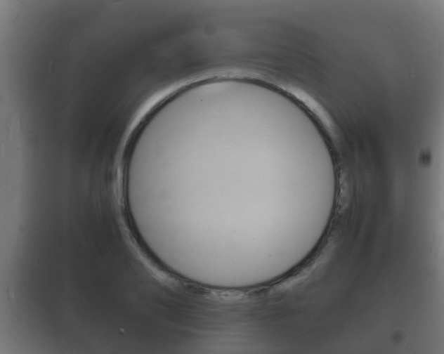 X0000102220886200807250744