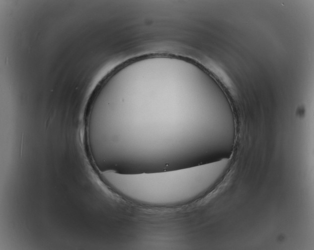 X0000102220888200807250744