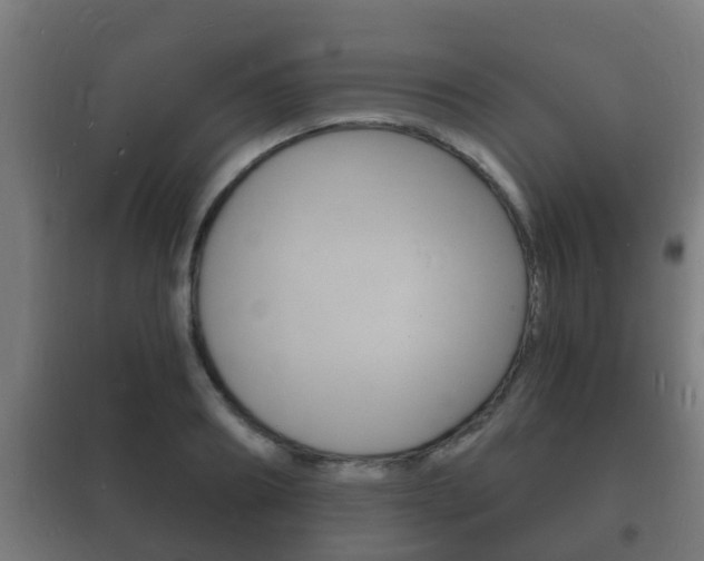 X0000102220890200807250744
