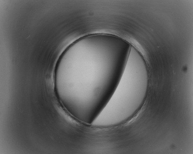 X0000102220892200807250744