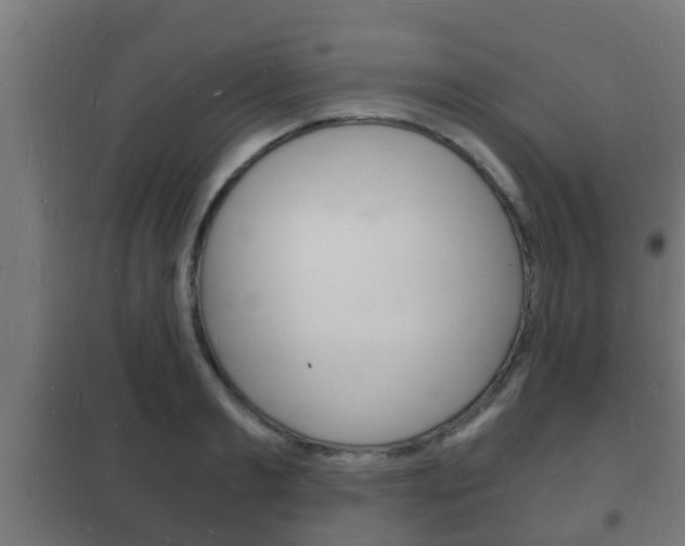 X0000102220893200807250743