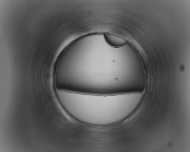 X0000102220894200807250743
