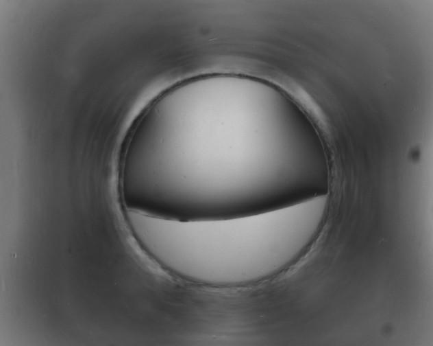 X0000102220896200807250743