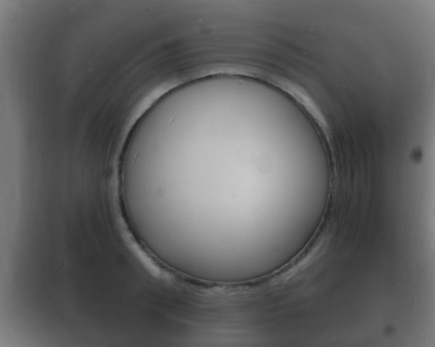 X0000102220898200807250743