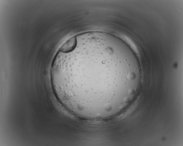 X0000102220899200807250743