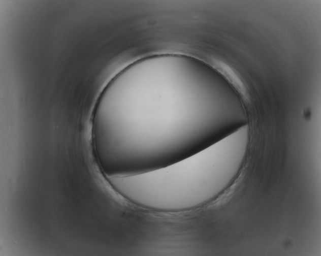 X0000102220900200807250743