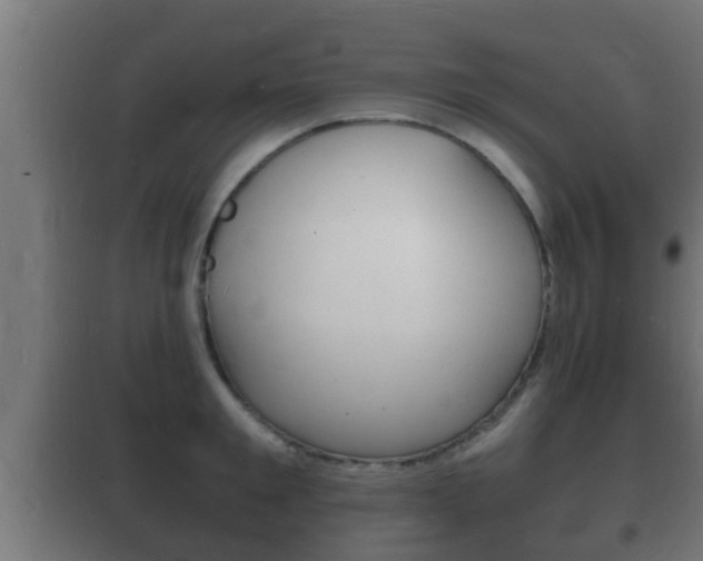 X0000102220901200807250743