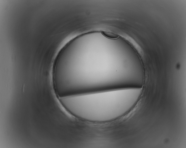 X0000102220902200807250743