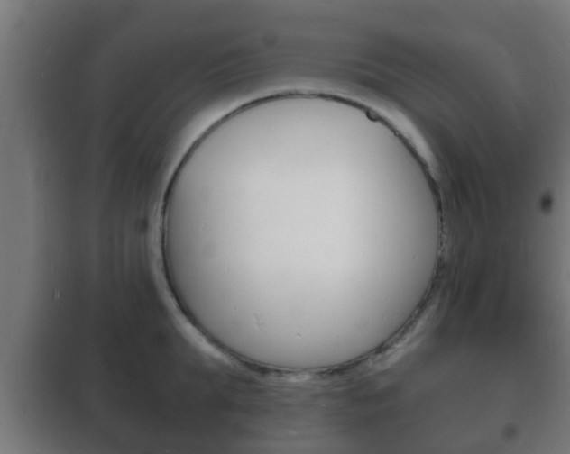 X0000102220903200807250743
