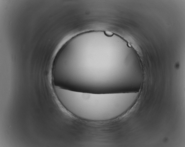 X0000102220904200807250743
