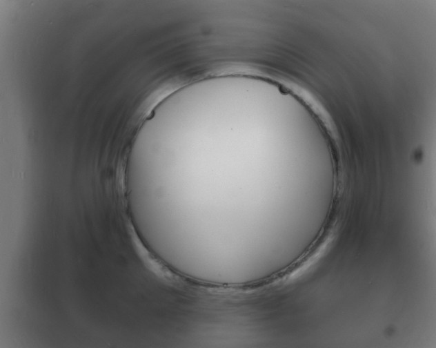 X0000102220905200807250743