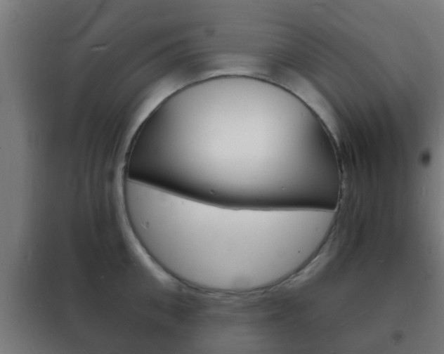 X0000102220906200807250743