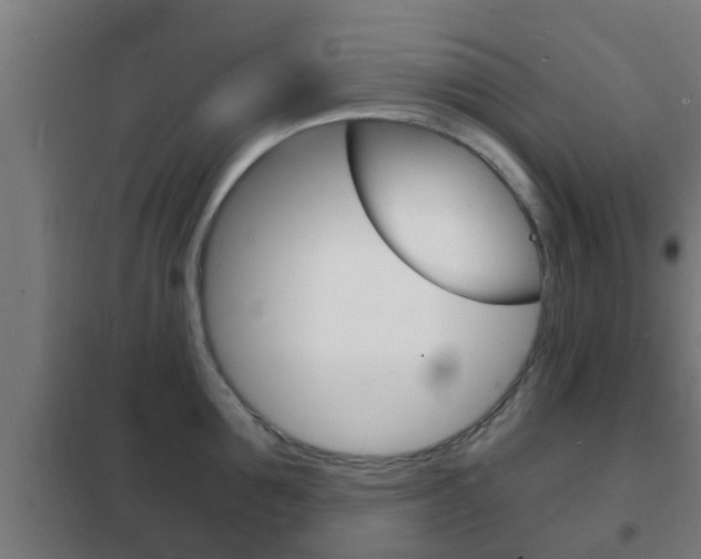 X0000102220907200807250743