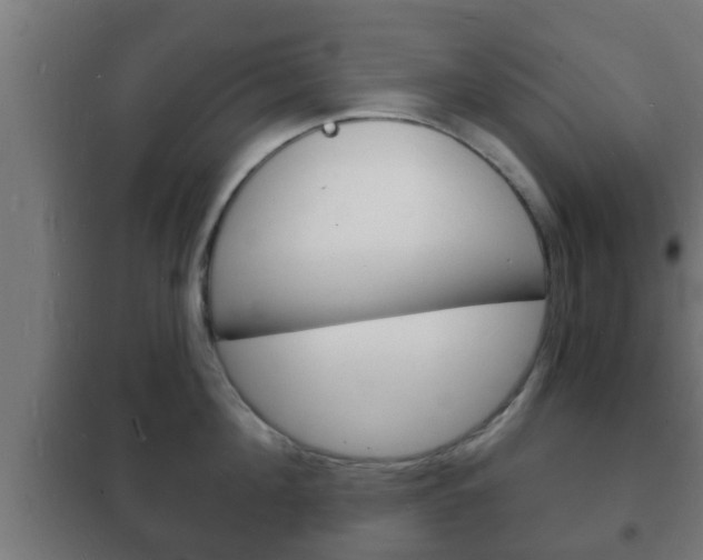 X0000102220908200807250743