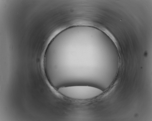 X0000102220909200807250743
