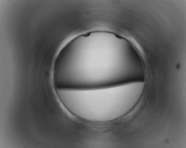 X0000102220910200807250743