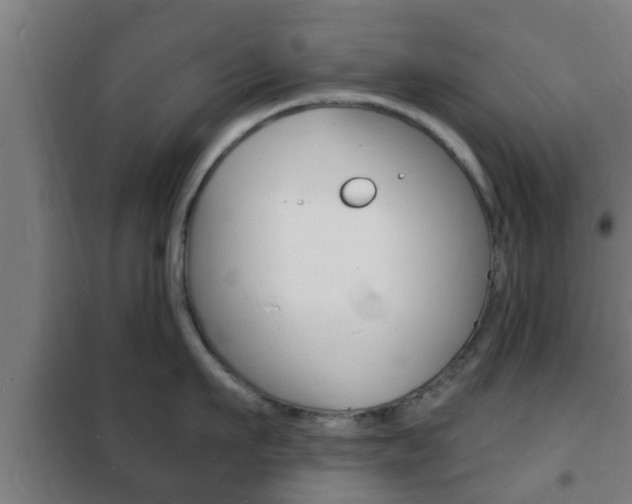 X0000102220911200807250743