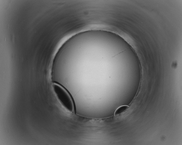 X0000102220912200807250743
