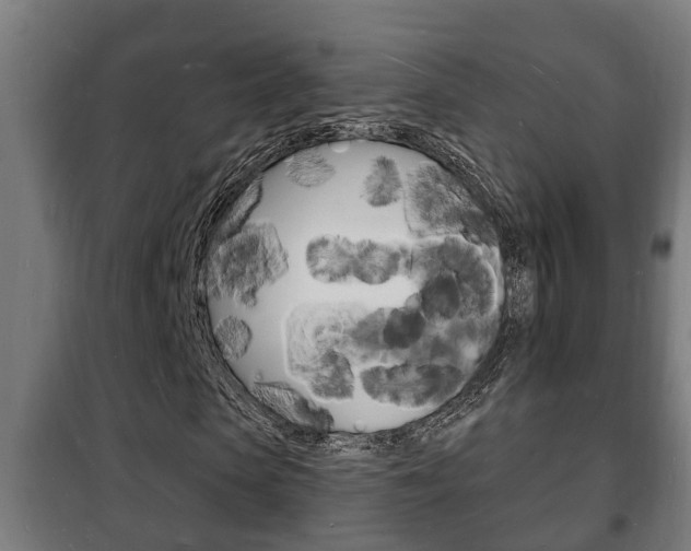 X0000102220913200807250742