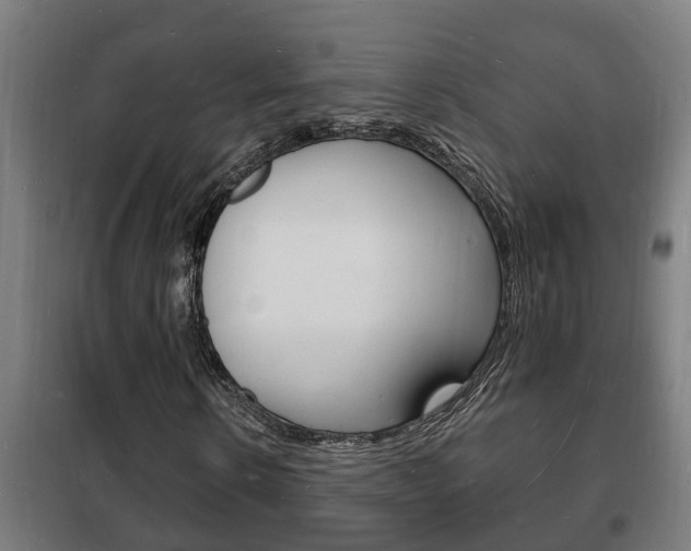 X0000102220914200807250742