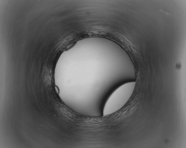X0000102220915200807250742
