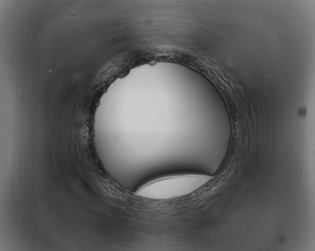 X0000102220916200807250742
