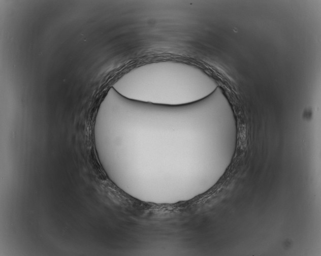 X0000102220917200807250742