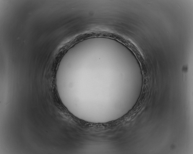 X0000102220919200807250742