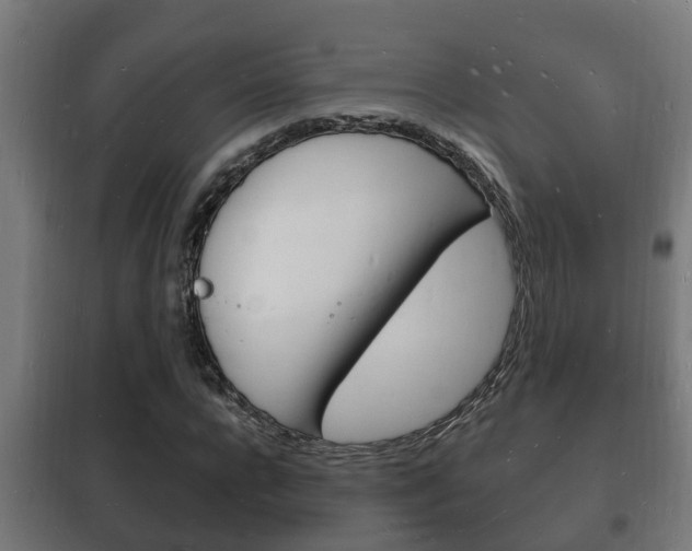 X0000102220920200807250743