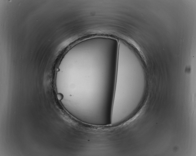X0000102220922200807250743