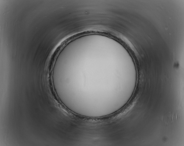 X0000102220923200807250743