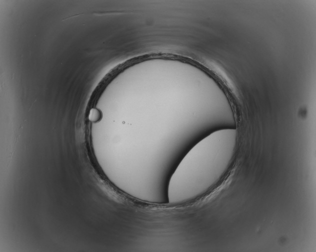 X0000102220924200807250743