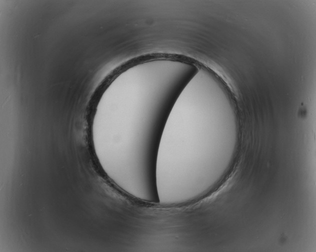 X0000102220926200807250743