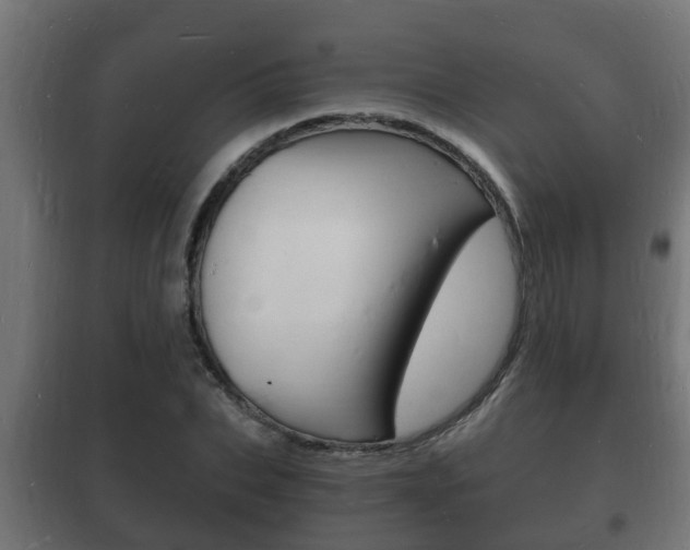 X0000102220927200807250743