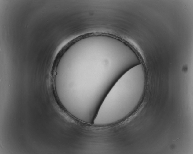 X0000102220928200807250743