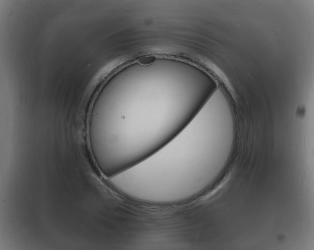 X0000102220930200807250743