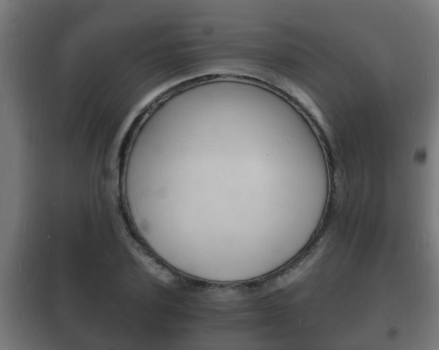 X0000102220931200807250743