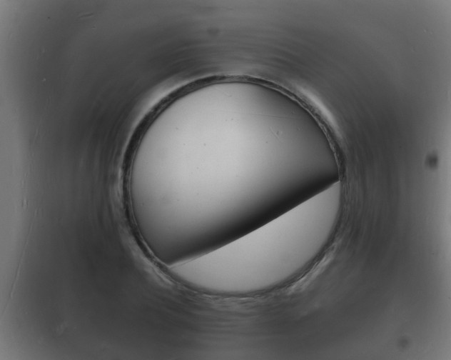 X0000102220932200807250743