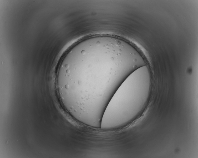 X0000102220933200807250743